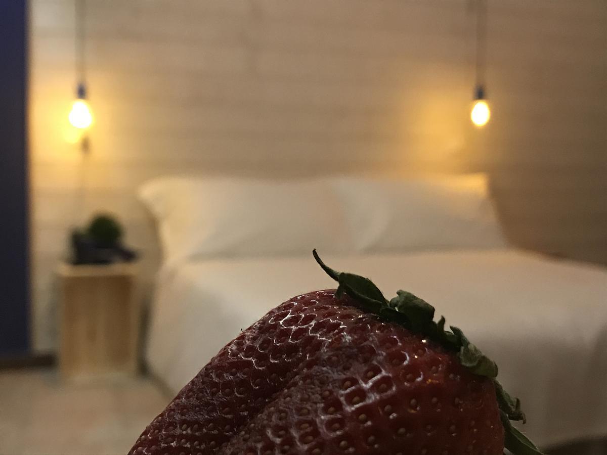 Hotel Raphael 博尔迪盖拉 外观 照片